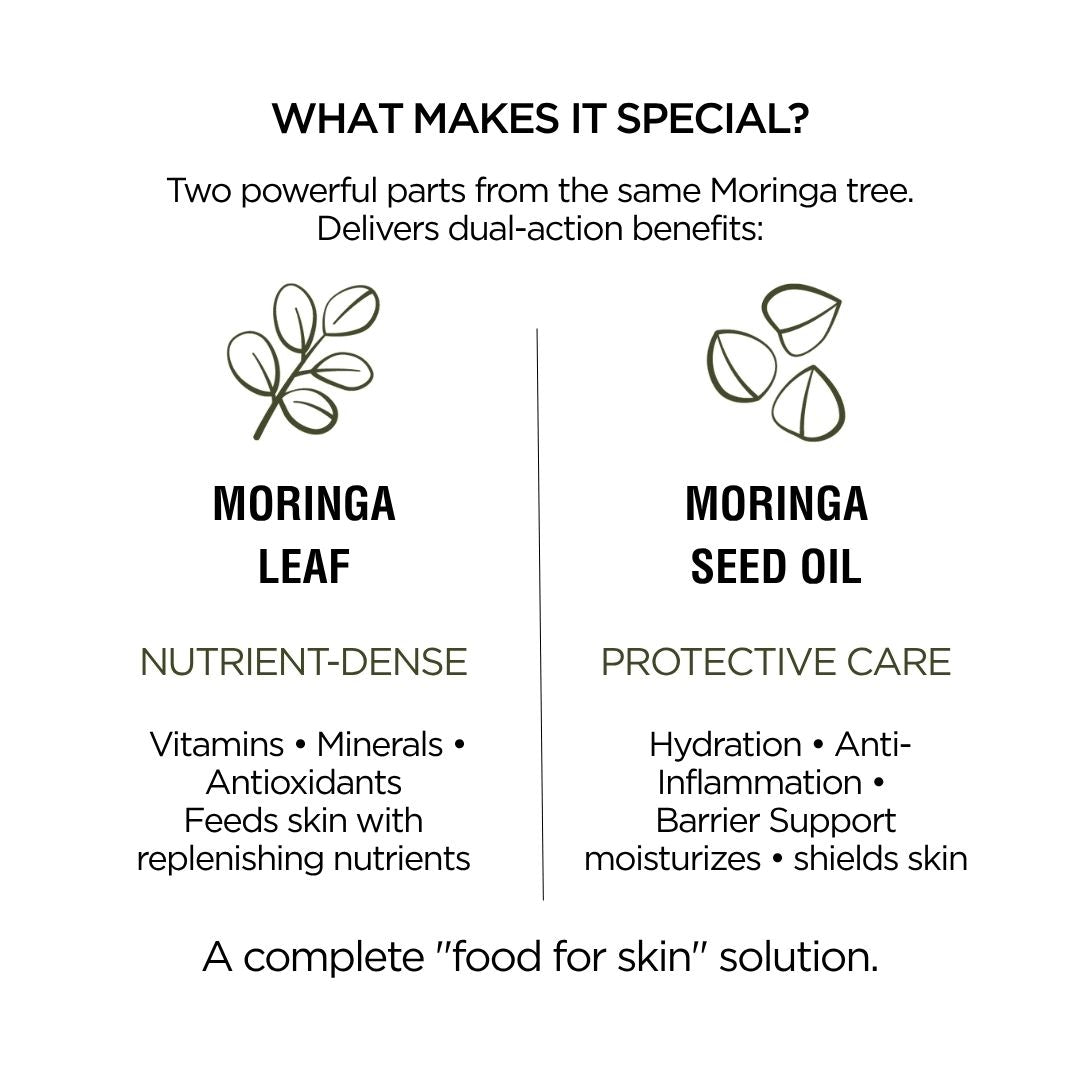 Moringa Leaf + Seed Whole-Plant Nutrition Oil –  Face & Body Oil for Damage Sensitive, Skin Repair 2oz