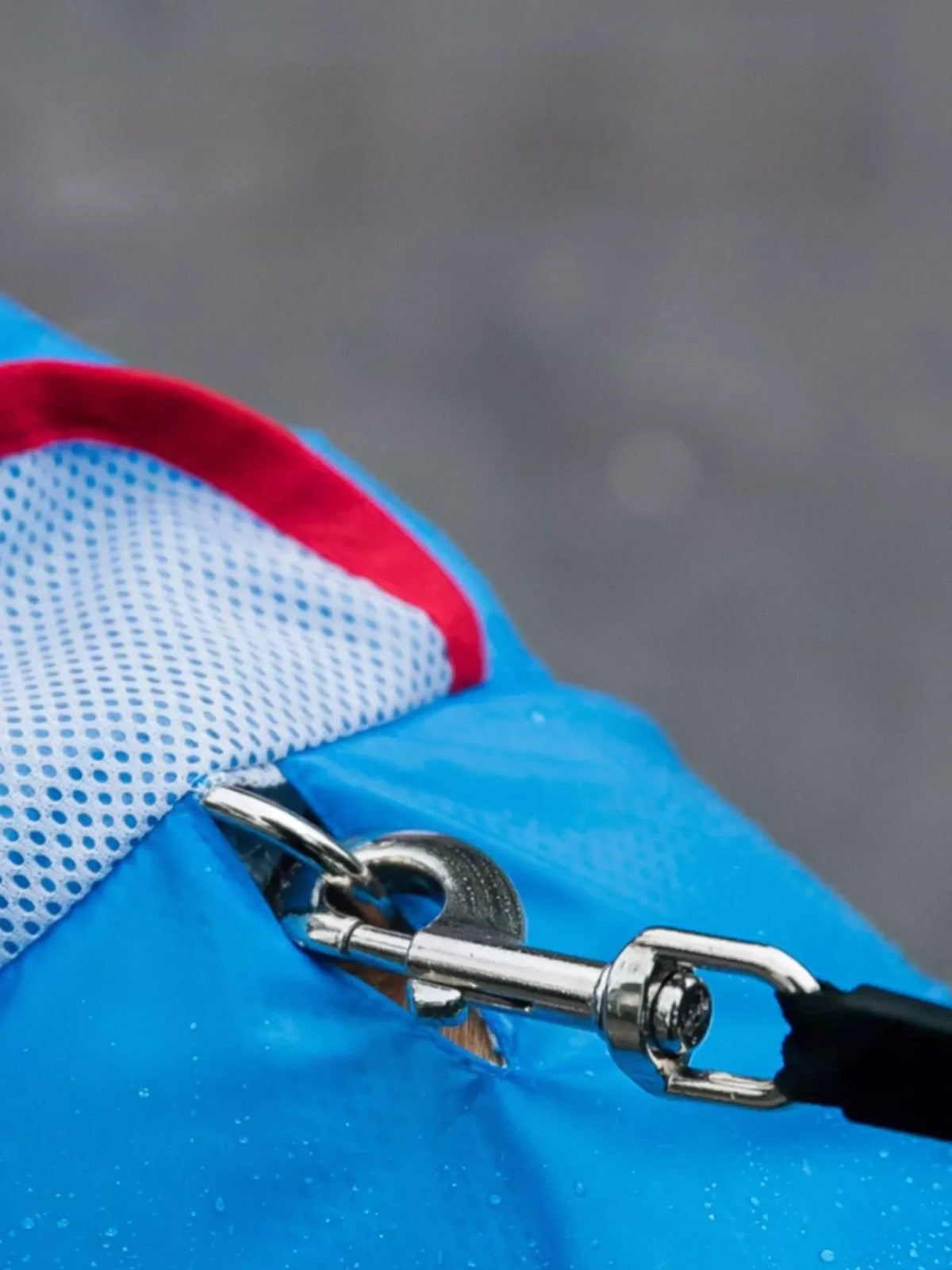 Dinosaur Style Waterproof Dog Raincoat with Hood