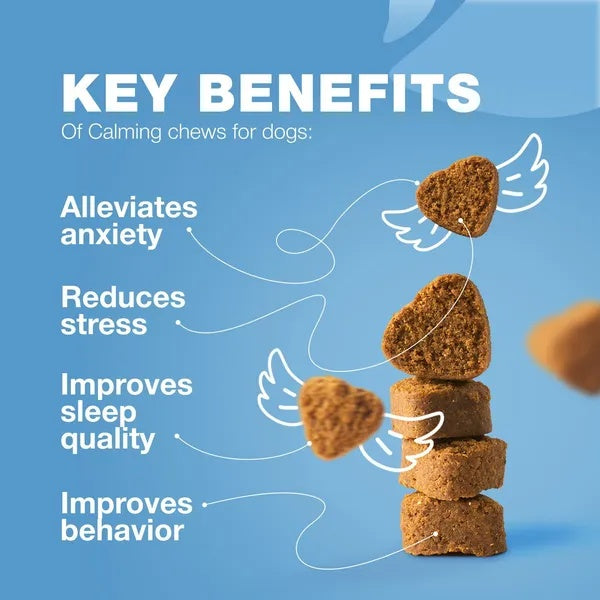 Calming Chews For Dogs Duck Flavor Canine Supplement For All Breeds And Sizes