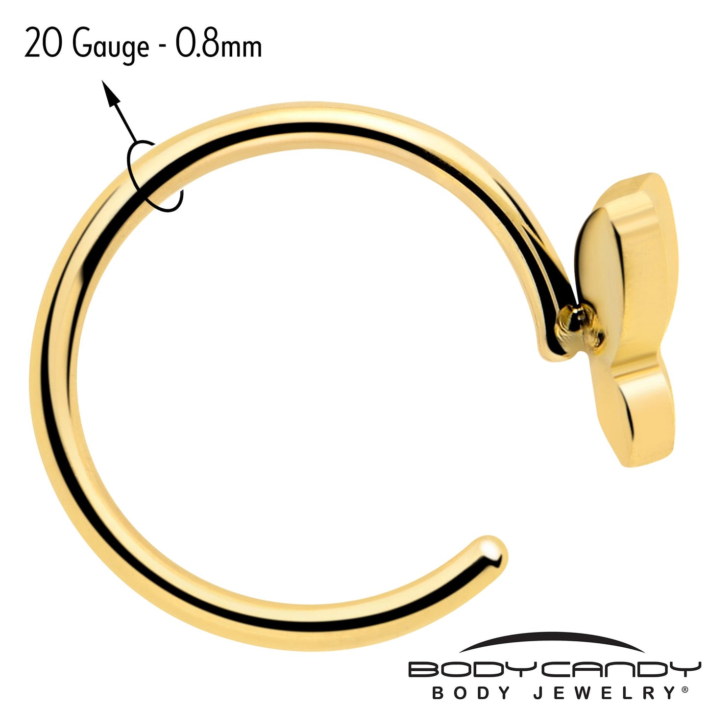 20G Gold Tone Implant Grade Titanium Butterfly Open Hoop Earring Set