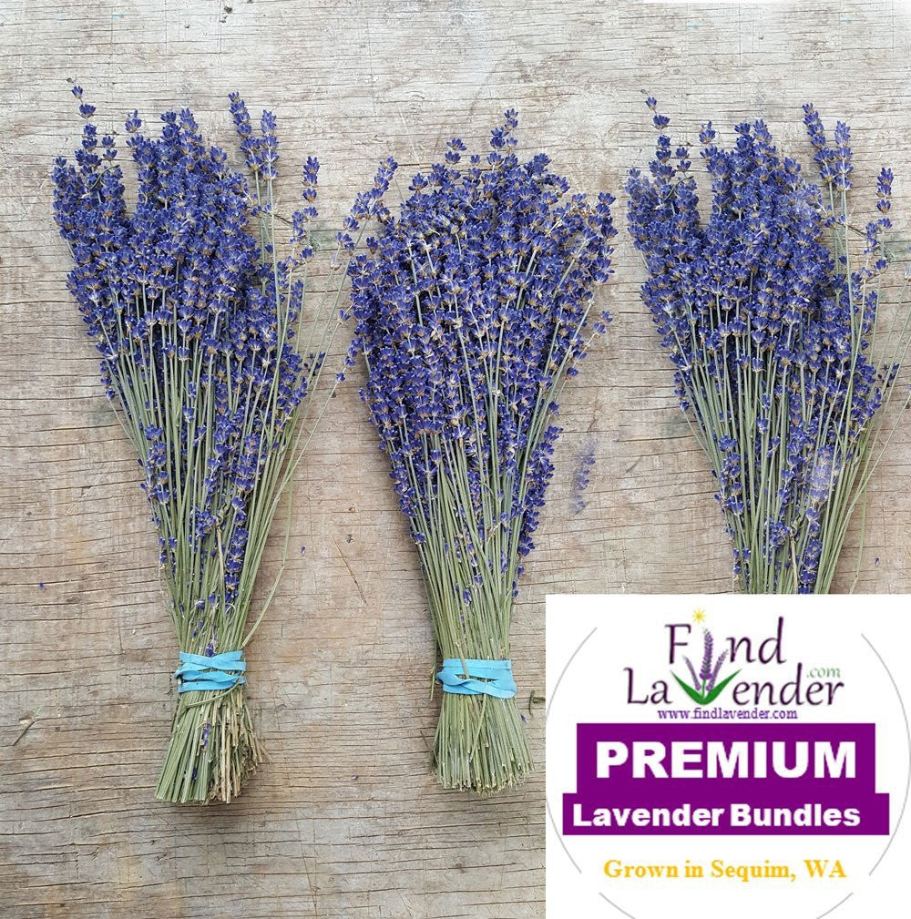 Manos de lavanda culinaria - 35-45 cm de largo