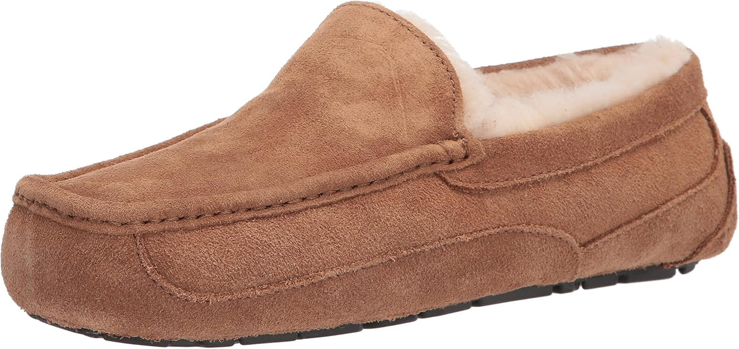 UGG Mens Ascot