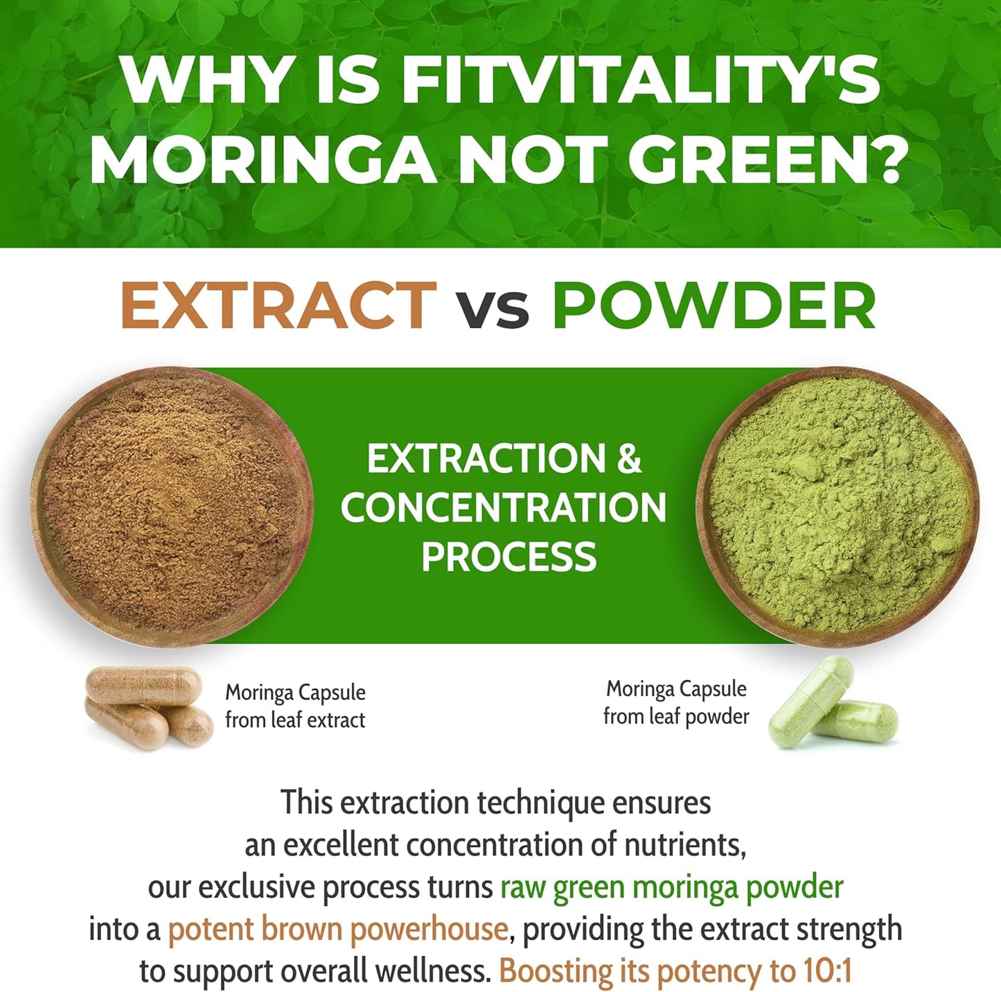 Moringa Capsules|300 Capsules|Moringa Oleifera|10,000mg