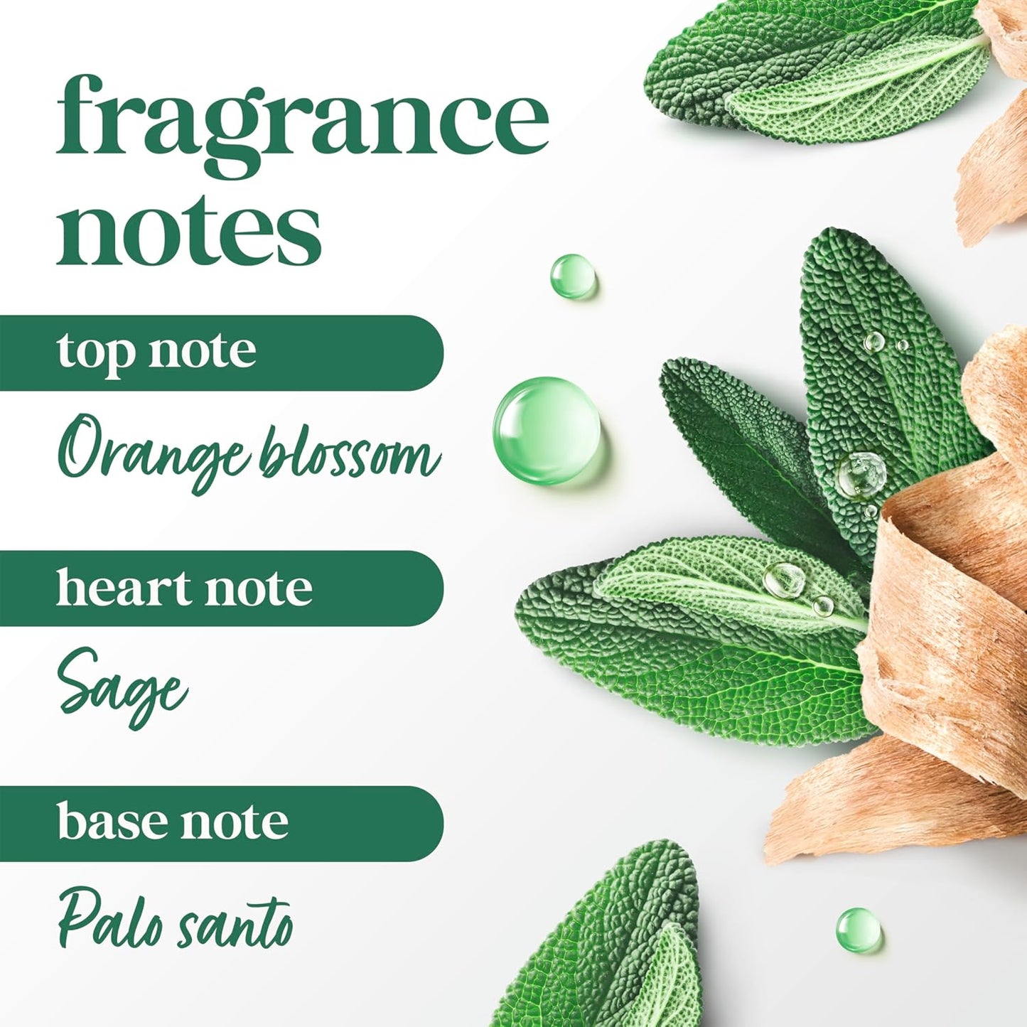 Dove Solid Stick Palo Santo & Sage for 72-Hour Sweat and Odor Protection Alcohol Free 2.6 oz