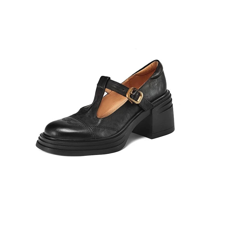 Women's Chunky Heel Platform Mary Jane Shoes