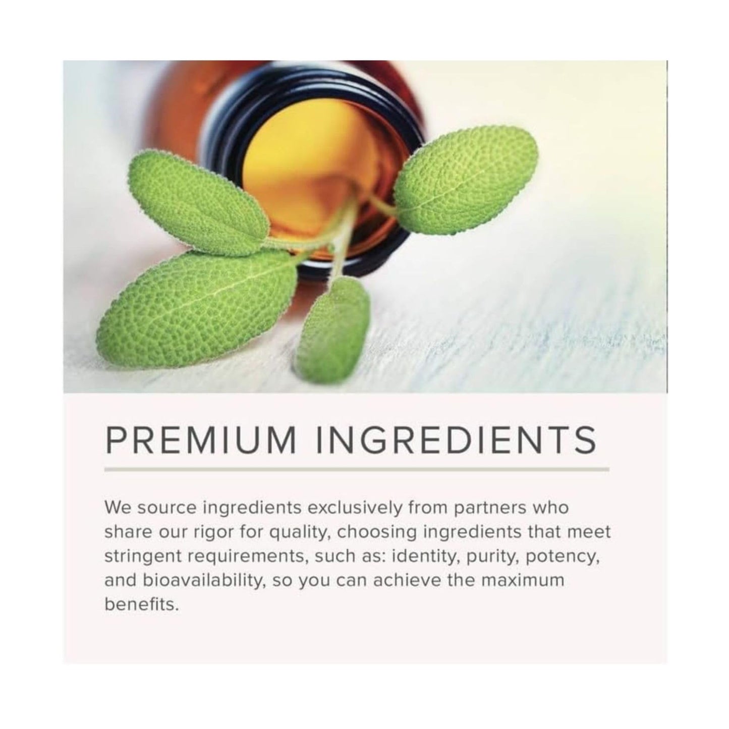 NusaPure L Methionine 1200mg | 200 Capsules | Non-GMO | Vegan Supplement