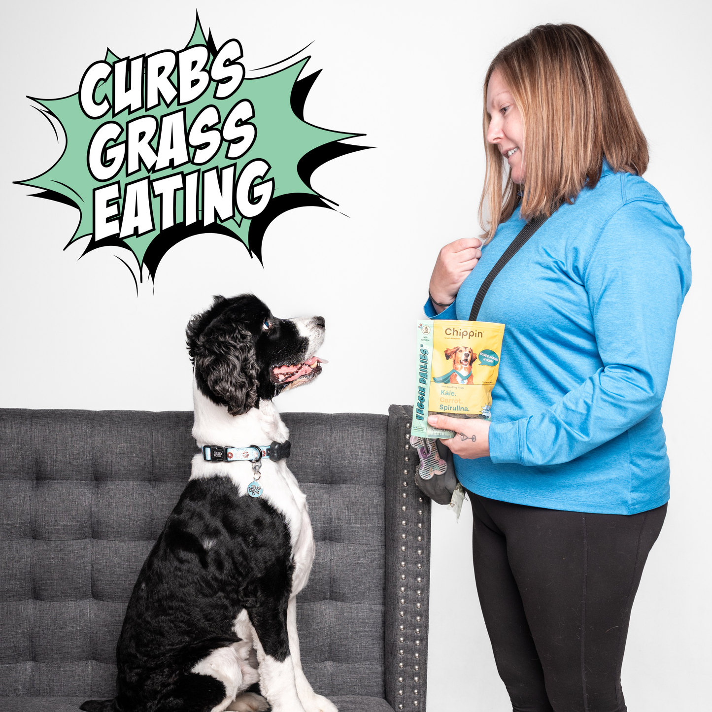 Paquete de 4 galletas crujientes para perro