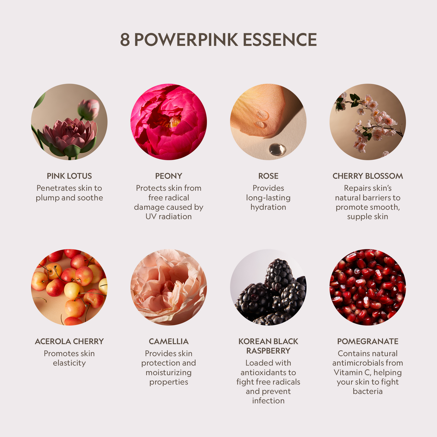 Crema facial renovadora con péptido de loto rosa