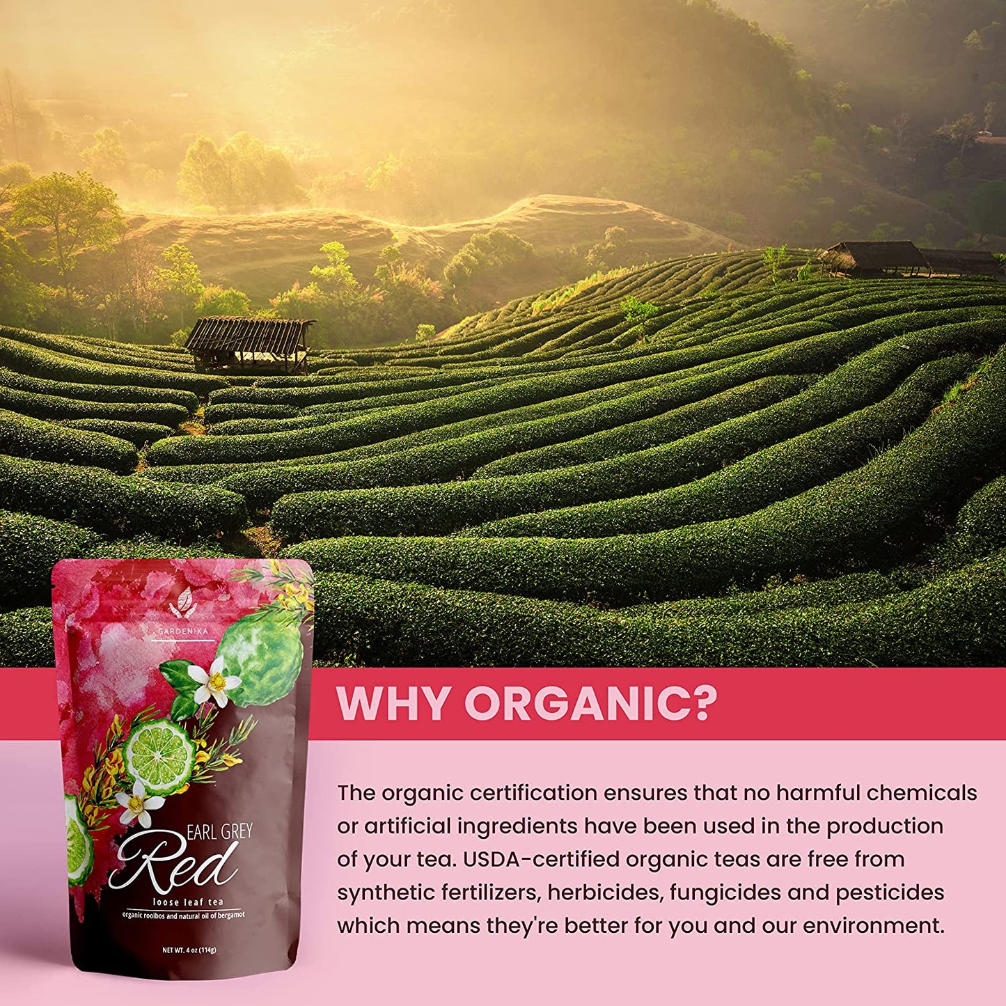 Bergamot Rooibos Tea, Herbal & Caffeine-Free - Organic & Kosher