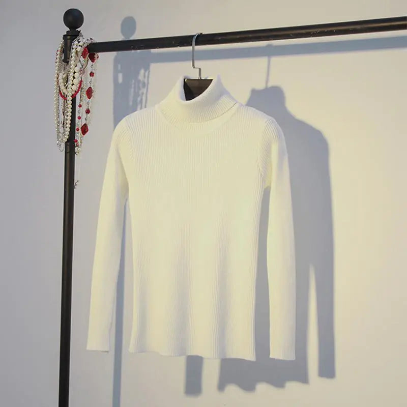 Women's Fitted Turtleneck Sweater for Fall/Winter
