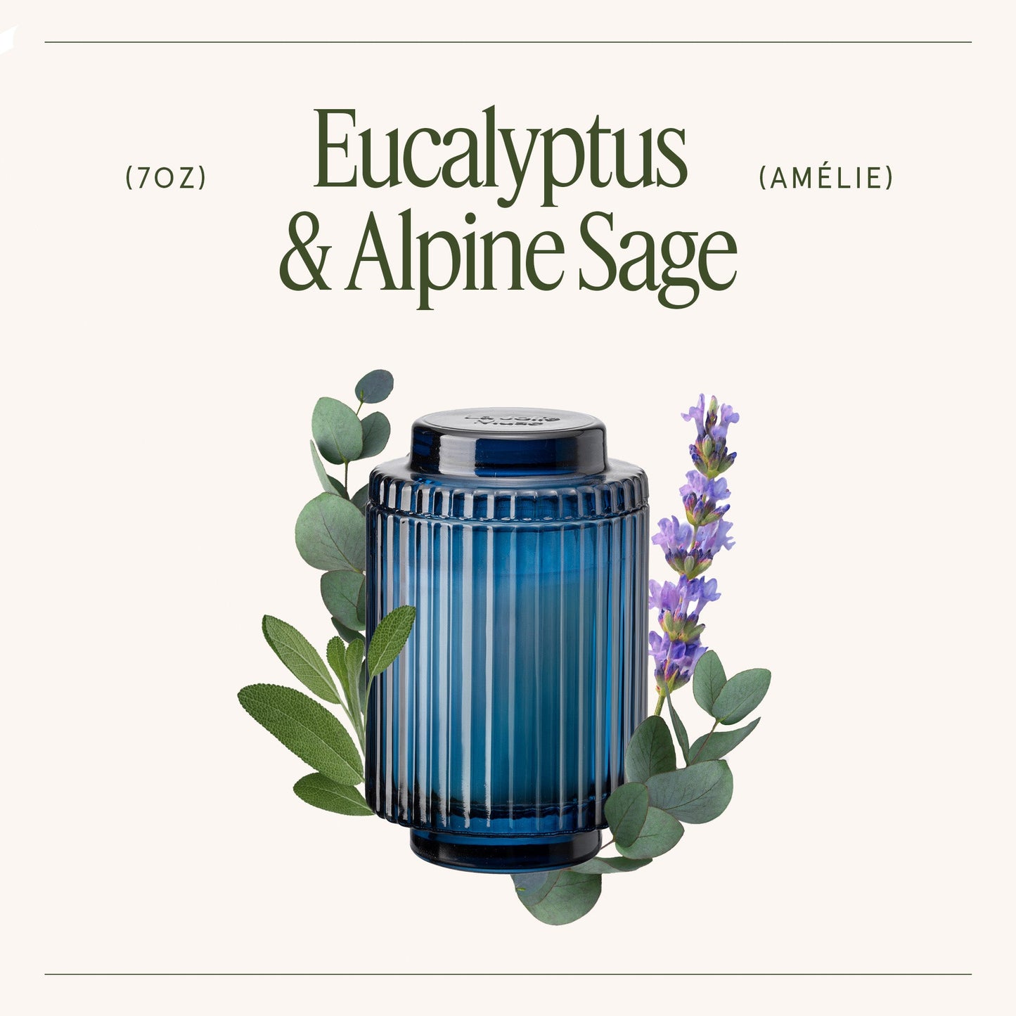 Amélie –  Eucalyptus & Alpine Sage Candle