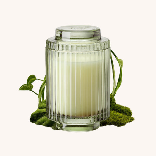 Amélie– Vela Kyoto Vine & Moss