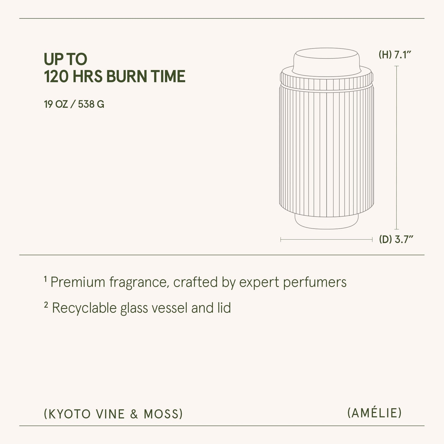 Amélie– Kyoto Vine & Moss Candle