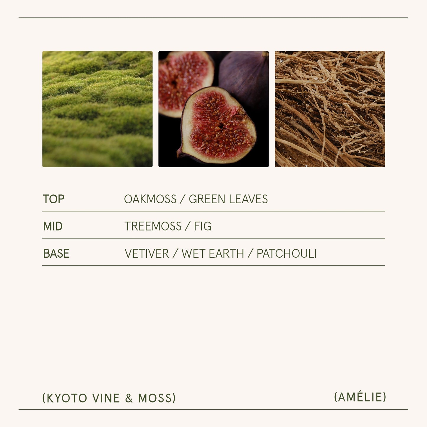 Amélie– Kyoto Vine & Moss Candle