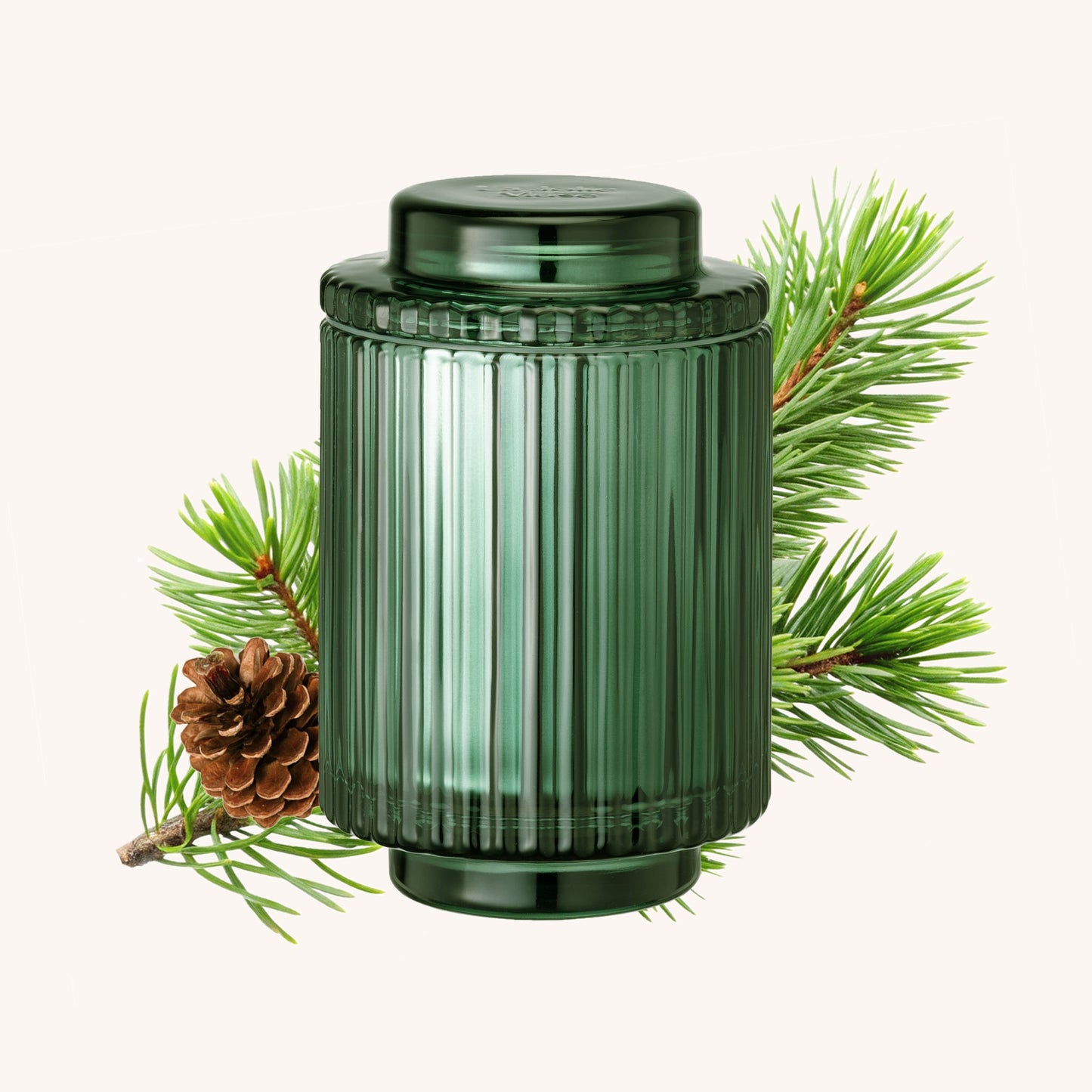 Amélie – Starlit Golden Fir 11oz Candle