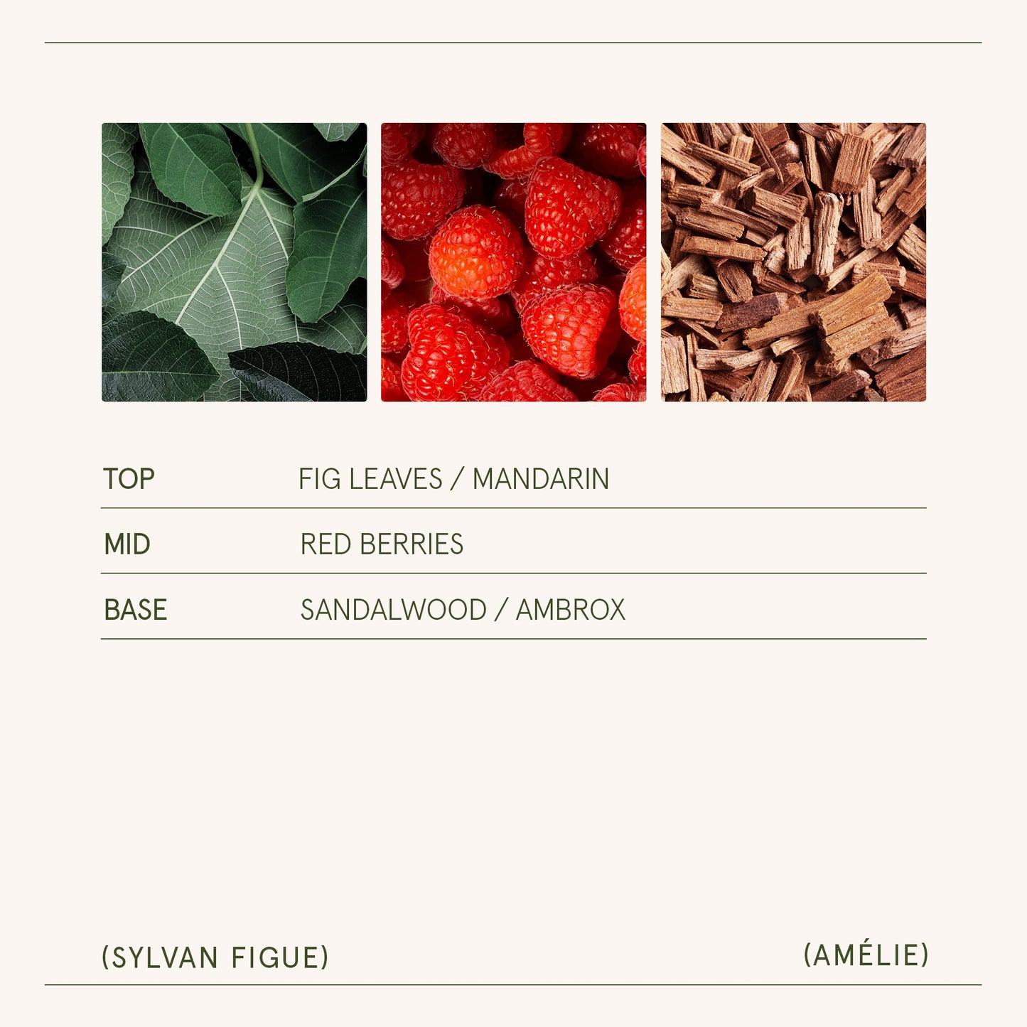 Amélie – Sylvan Figue Candle