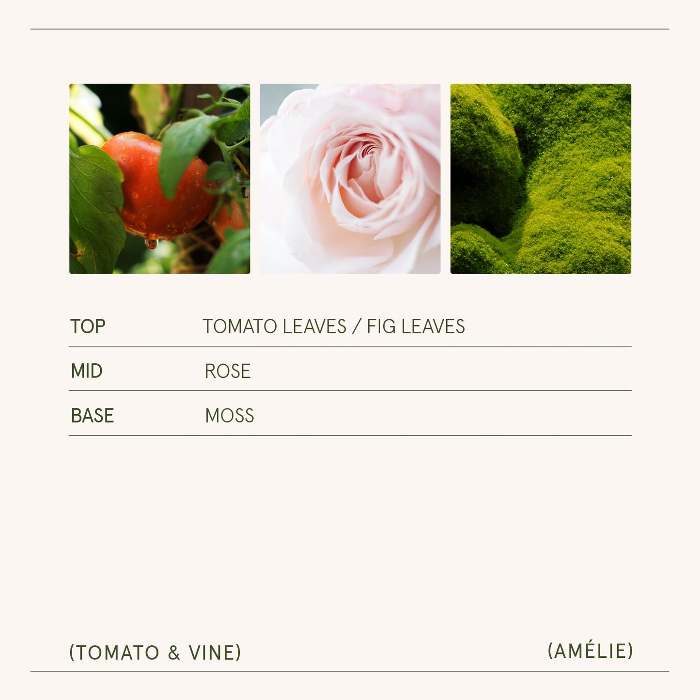 Amélie – Tomato & Vine Candle