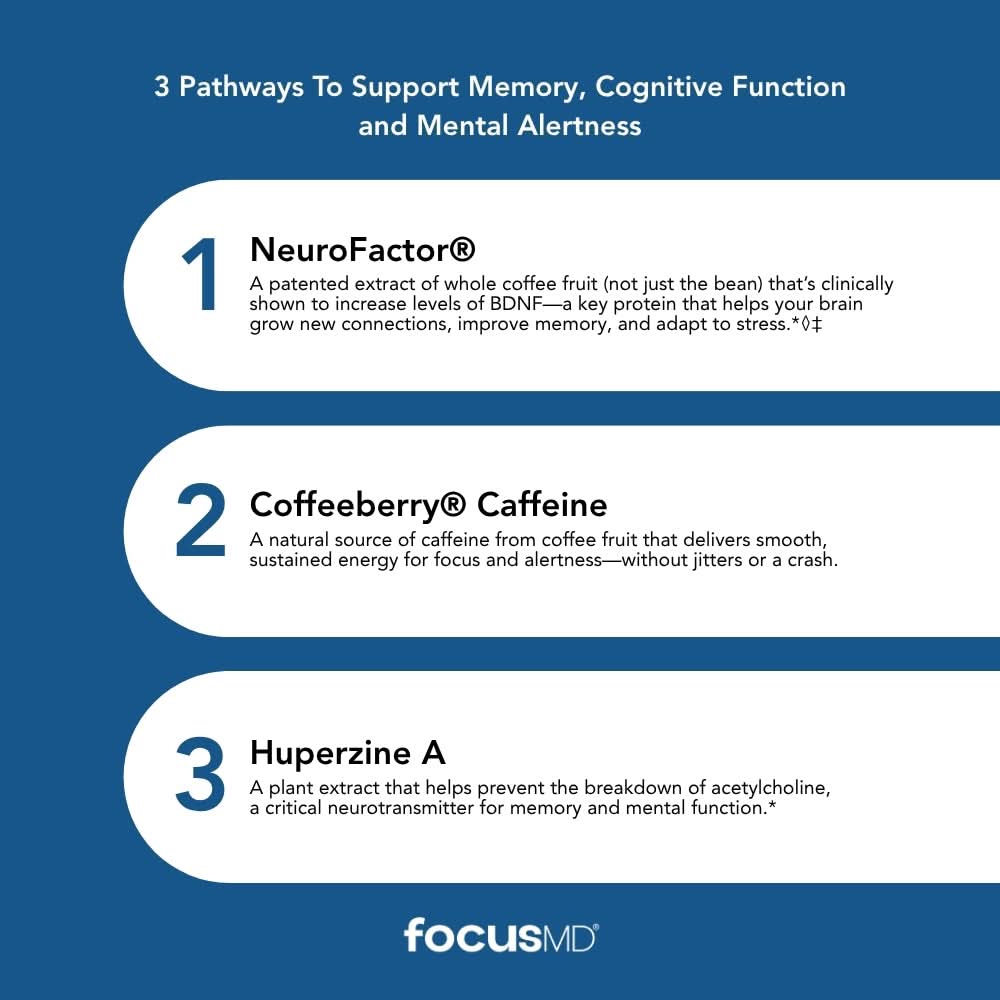Scimera MD® Focus MD Brain Supplement with Nootropic Organic Coffeeberry, Huperzine A for Memory, Focus, and Energy, 30 CT