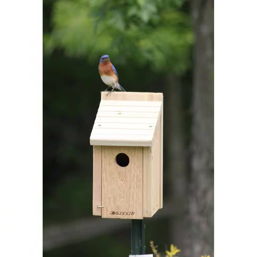 Casita para pájaros de madera de cedro - Ideal para azulejos gorjiblancos, azulejos gorjiazules y azulejos de las montañas