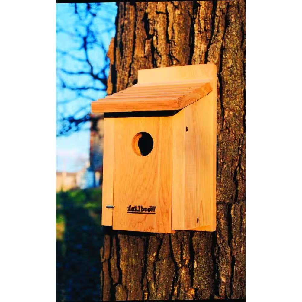 Casita para pájaros de madera de cedro - Ideal para azulejos gorjiblancos, azulejos gorjiazules y azulejos de las montañas