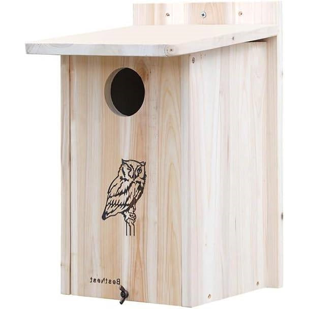 Nidificación de madera resistente para búhos y cernícalos