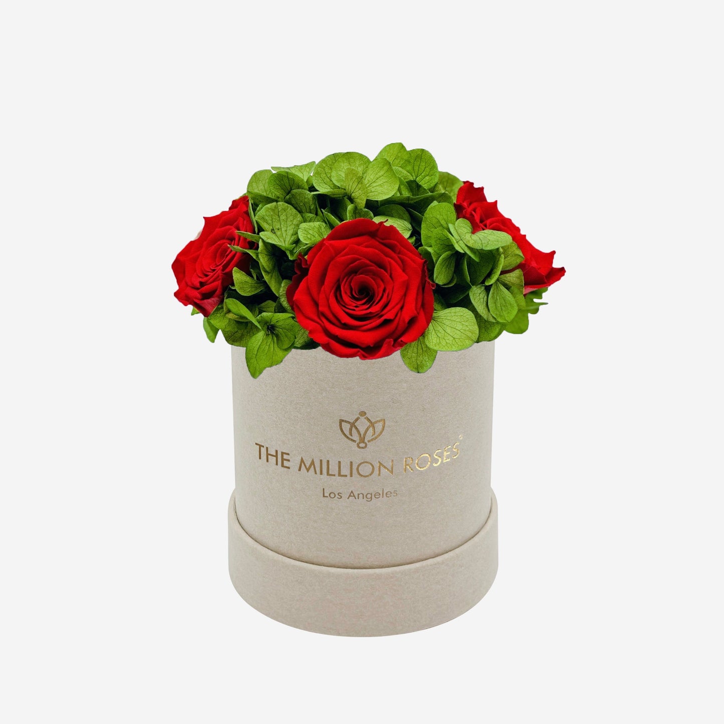 Caja de Jardín Básica de Gamuza Beige | Rosas Rojas