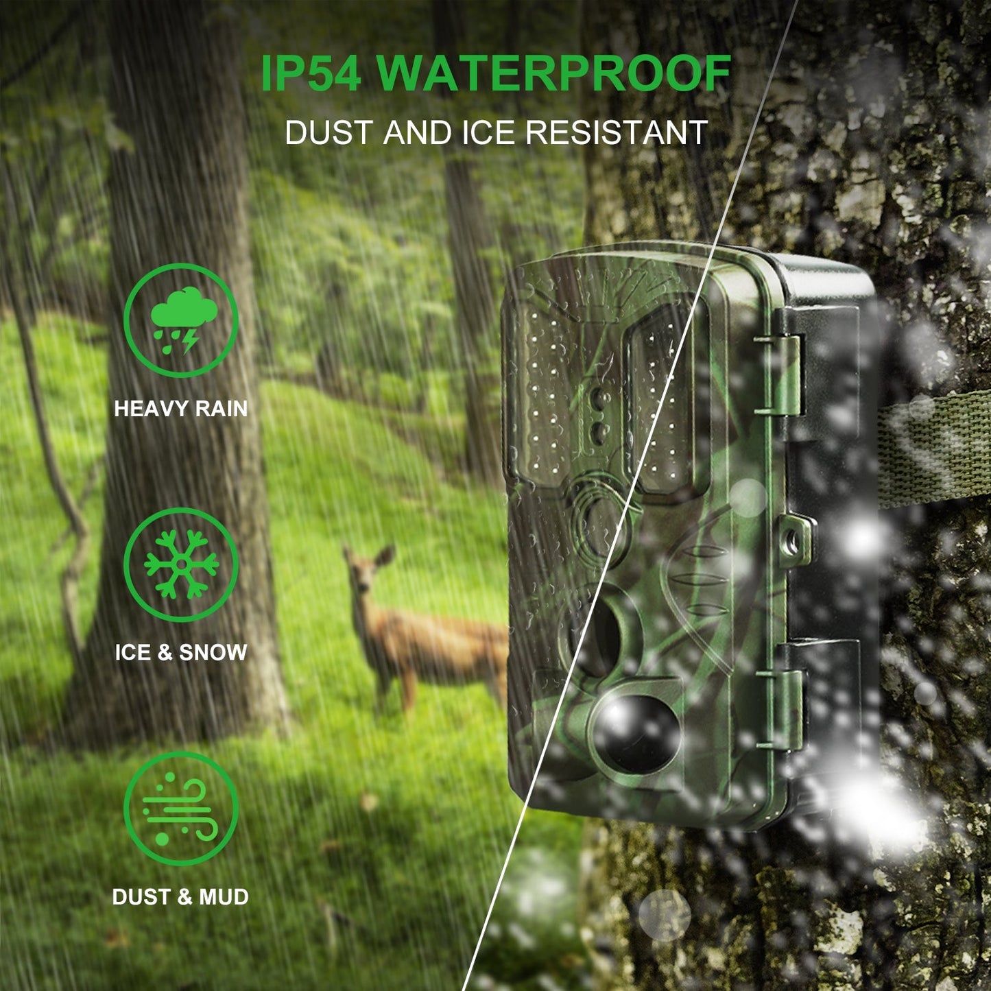 REXING H1 Blackhawk Cámara de seguimiento con visión nocturna Full HD 1920×1080