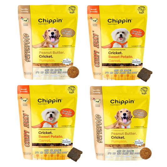 Gut Healthy Dog Treat Variety Bundle