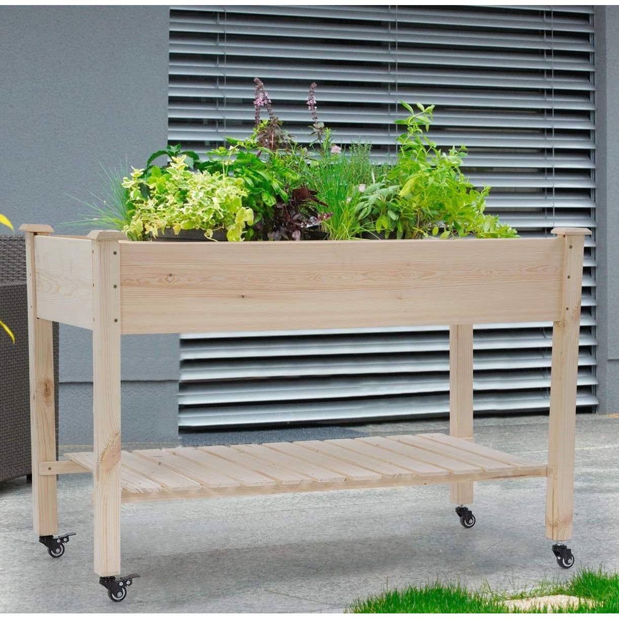 Macetero elevado para jardín de madera de abeto maciza para exteriores de 0.6 m x 1.2 m con ruedas con bloqueo