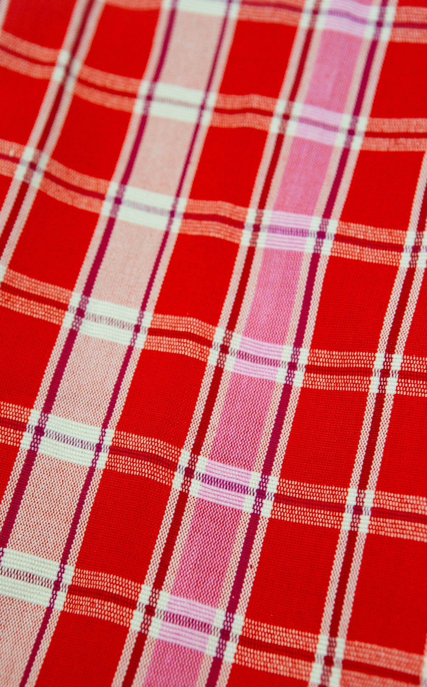 Camila Plaid Placemat