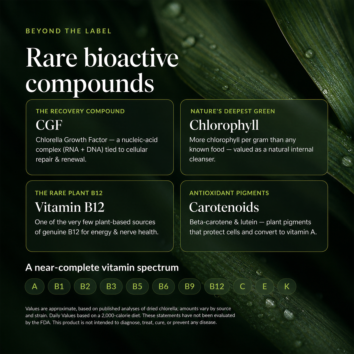 RECOVERYbits® Chlorella | Large Bag
