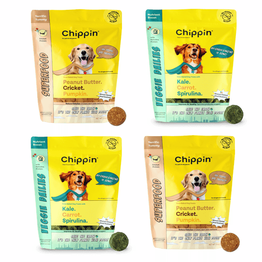 Crunchy Dog Biscuit Bundle, 4-Pack