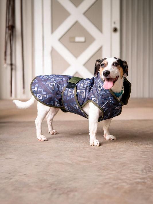 Abrigo para perro para todo tipo de clima