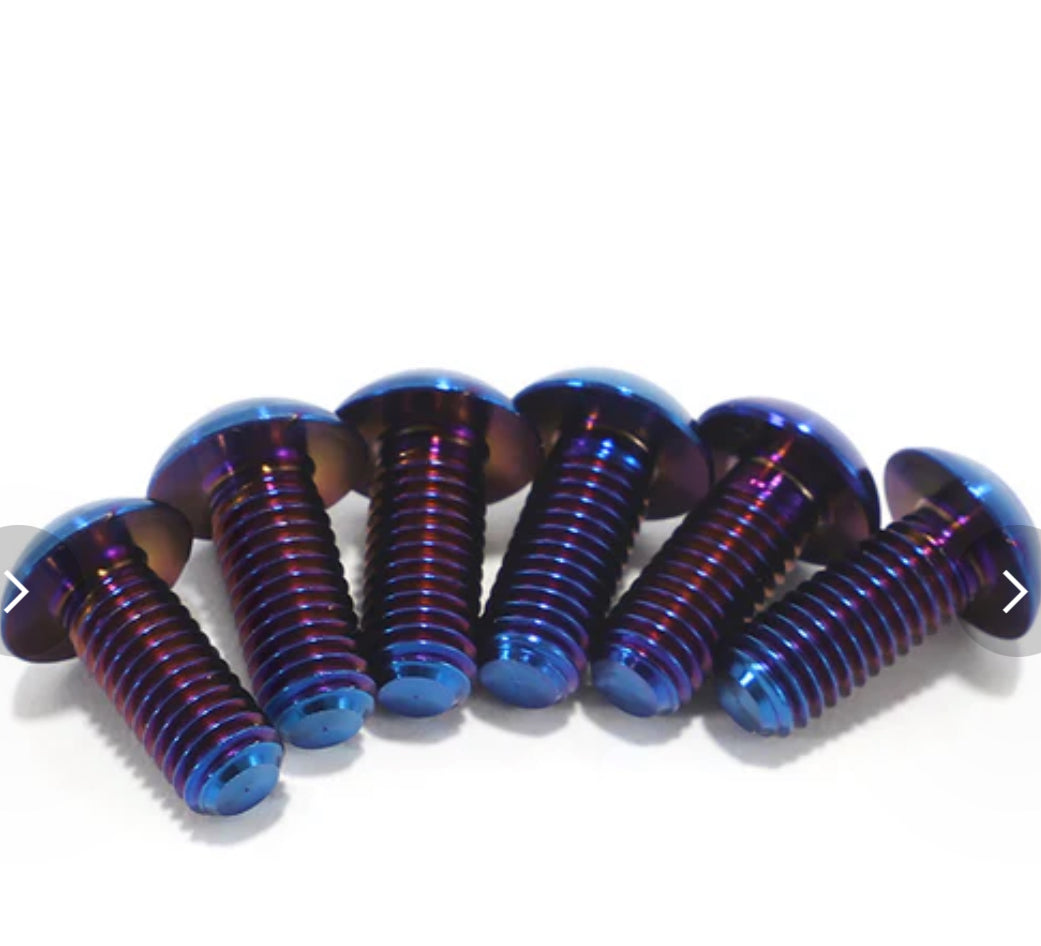 Titanium Controller Bolts (all emoto)