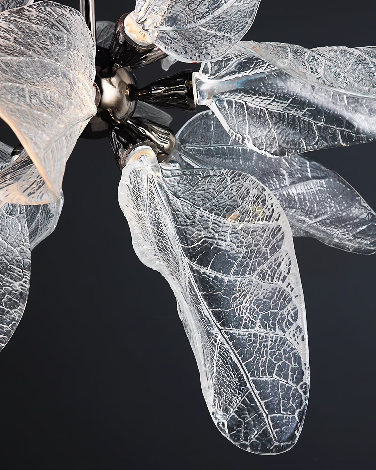 Araña de diente de león Floccus