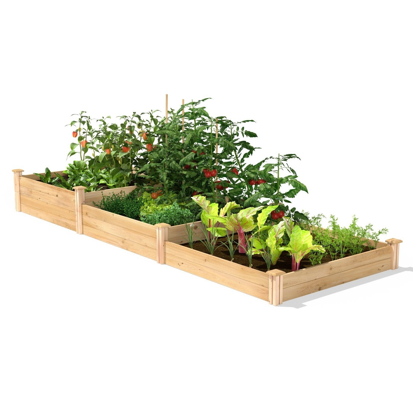 Huerto Elevado de Madera de Cedro de 4 ft x 12 ft y 3 Niveles - Hecho en EE. UU.