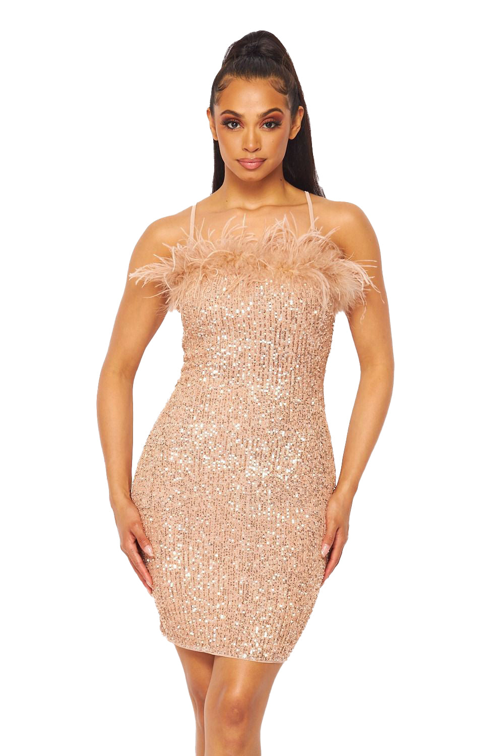 Vestido de Plumas y Lentejuelas
