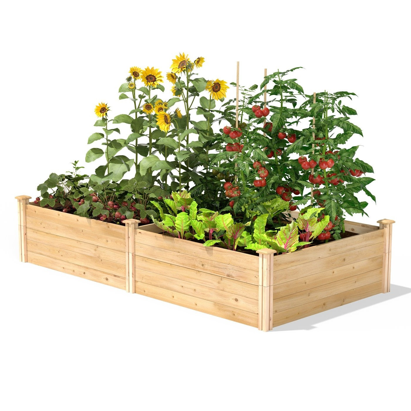 Cama de jardín elevada de cedro de 17 pulgadas de alto, 4 pies x 8 pies - Hecha en EE. UU.