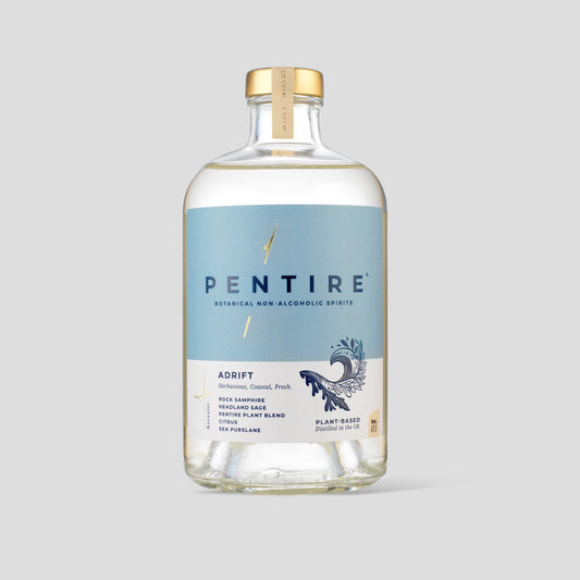 Pentire Adrift