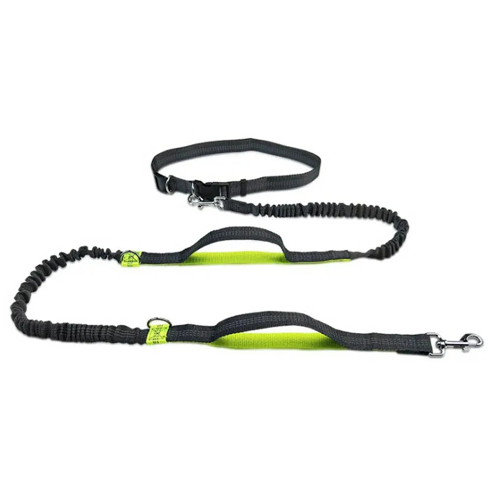 GlowBright Pet Leashes