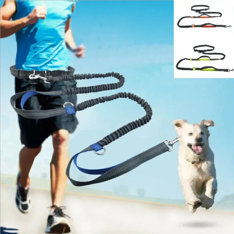 GlowBright Pet Leashes