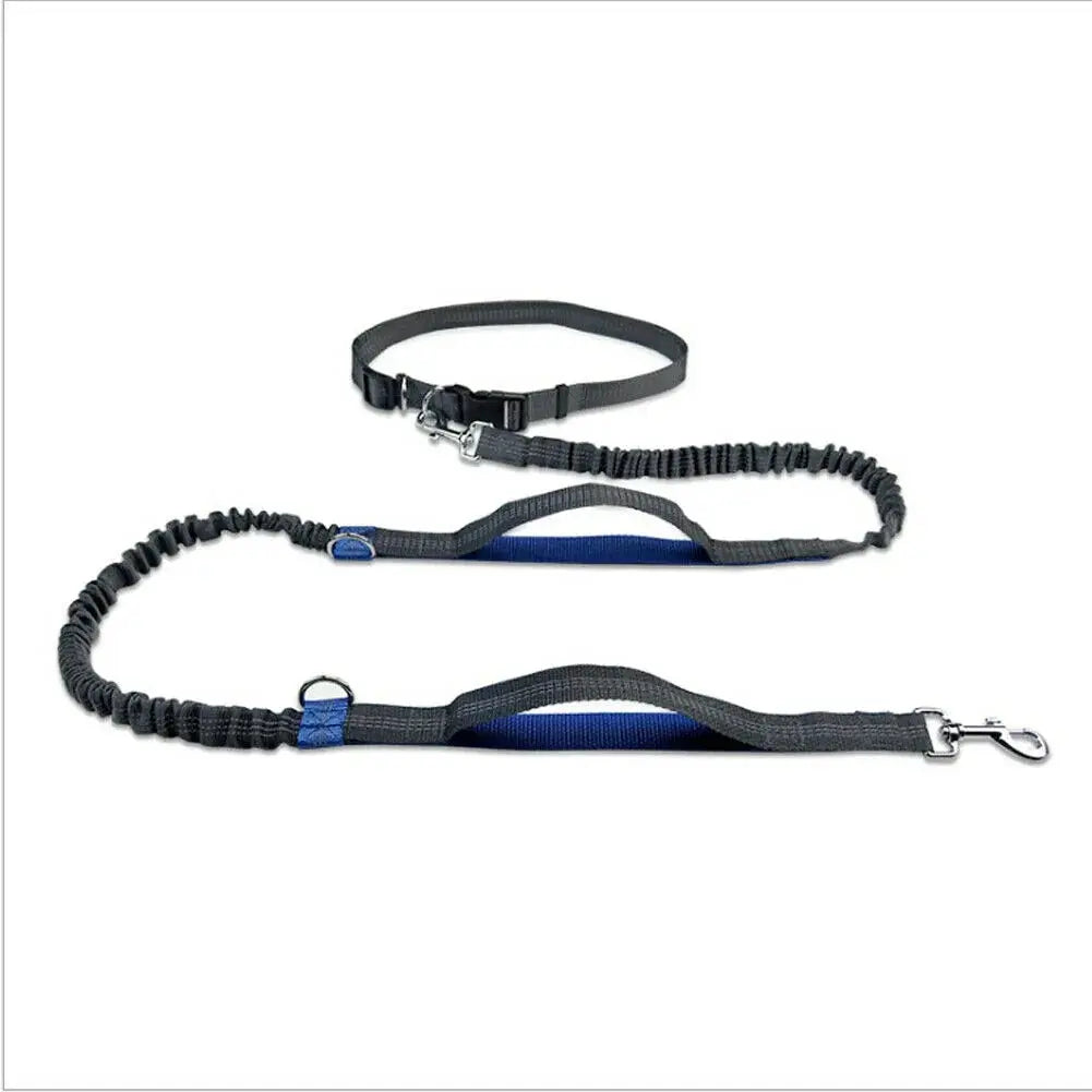 GlowBright Pet Leashes