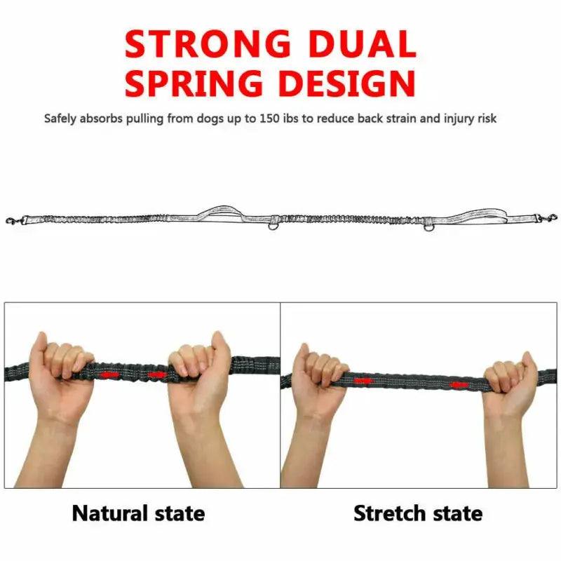 GlowBright Pet Leashes