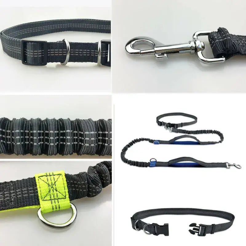GlowBright Pet Leashes