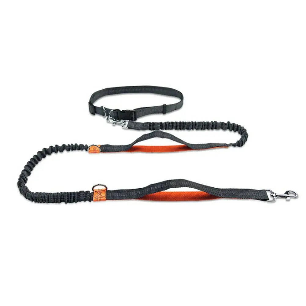 GlowBright Pet Leashes