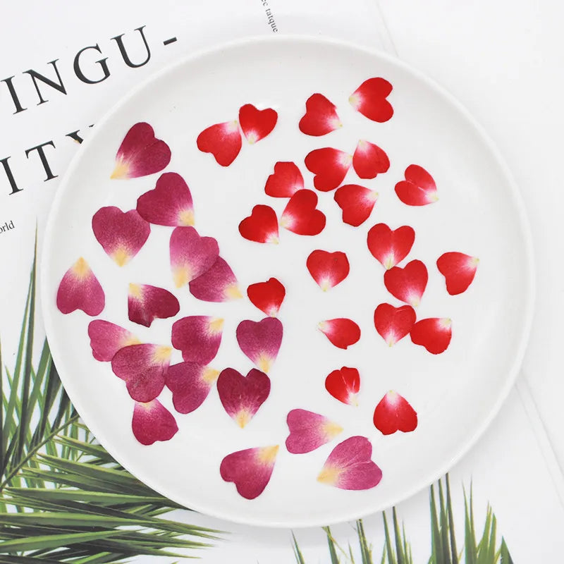 100pcs 1cm Heart Shape Pressed Dried Rose Flower Petals for Jewelry