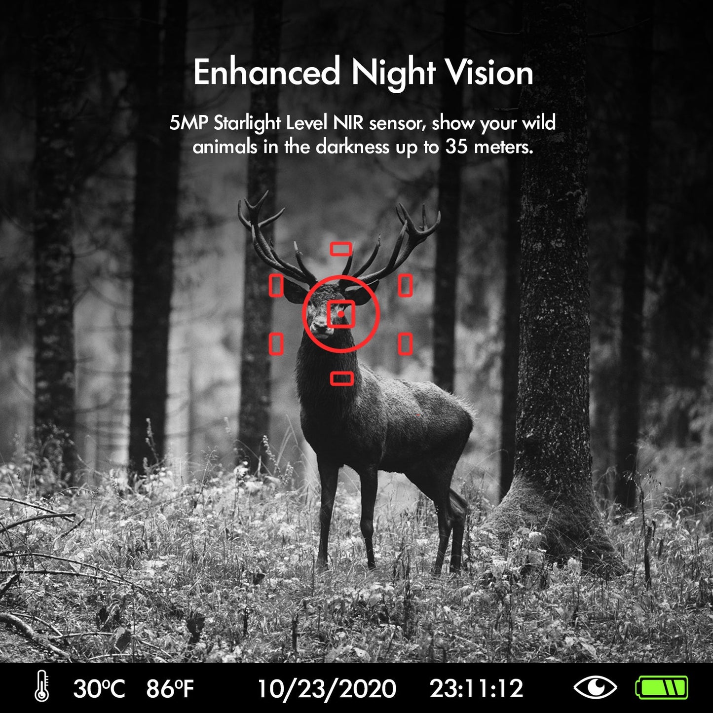 Cámara de Caza con Llamador Electrónico de Animales Rexing H3 Video 2.7K + Foto 20MP