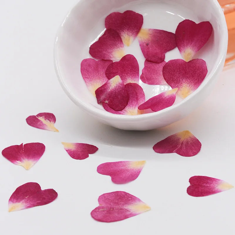 100pcs 1cm Heart Shape Pressed Dried Rose Flower Petals for Jewelry
