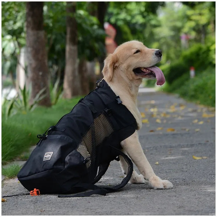 Mochila de transporte para perros, senderismo, viajes, ventilación al aire libre, malla deportiva para exteriores