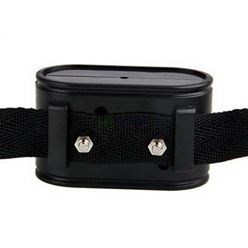 Electronic Fence Receiver Collar for W227 W227B In-ground Pet Dog Electric Fence Electronic Training Collar Accessories